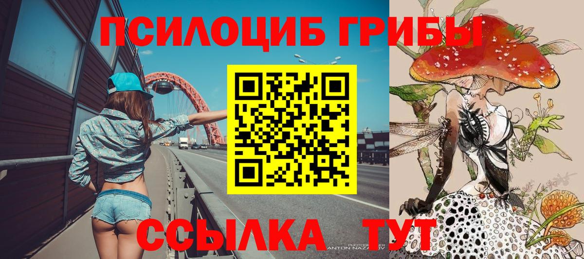 Белореченск  Галлюциногенные грибы GOLDEN TEACHER  Вход с VPN 