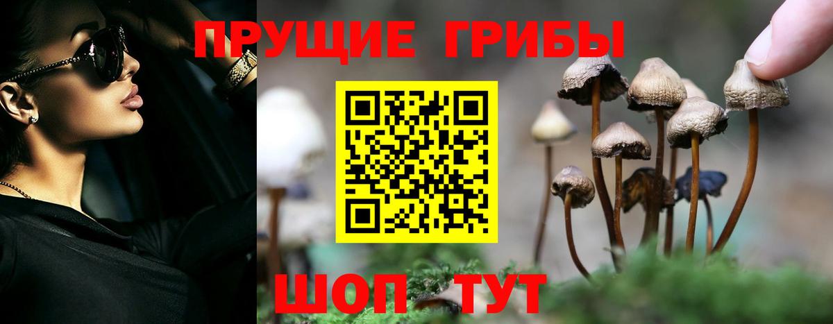 Галлюциногенные грибы прущие грибы Белореченск