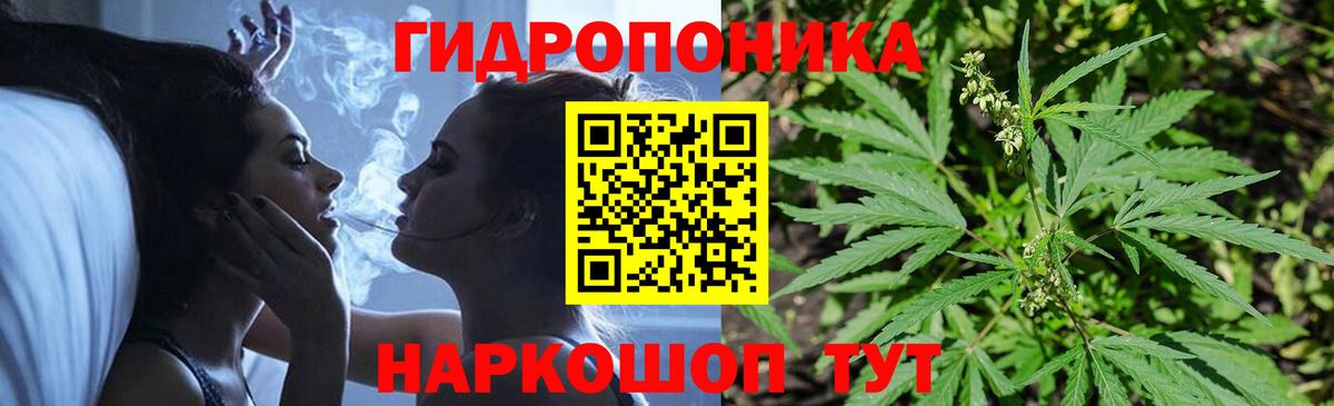 Марихуана гибрид Белореченск